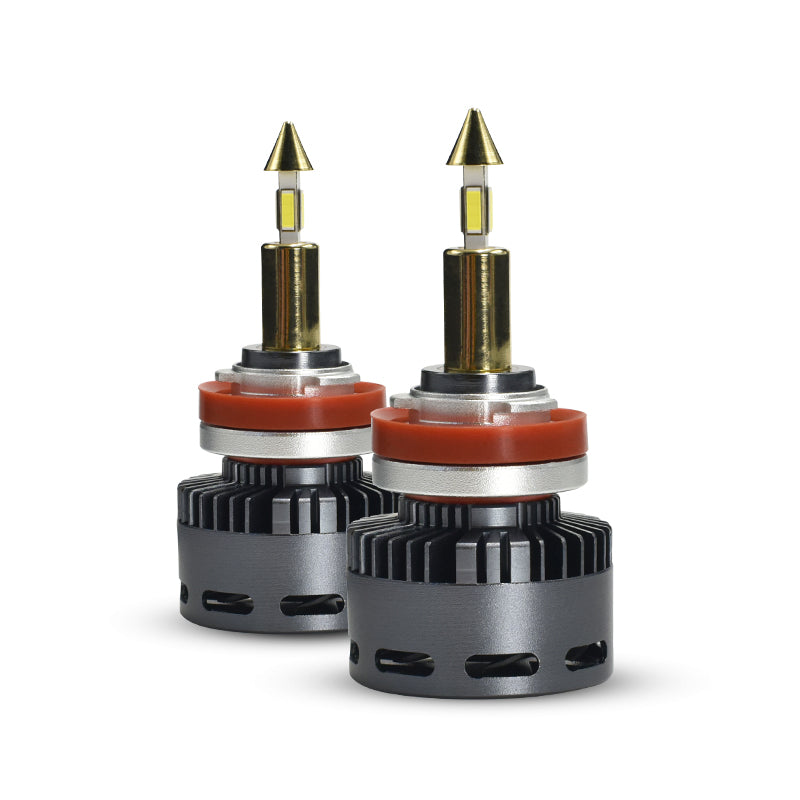 Kit LED H11 360 Gold CanBus — vista frontale