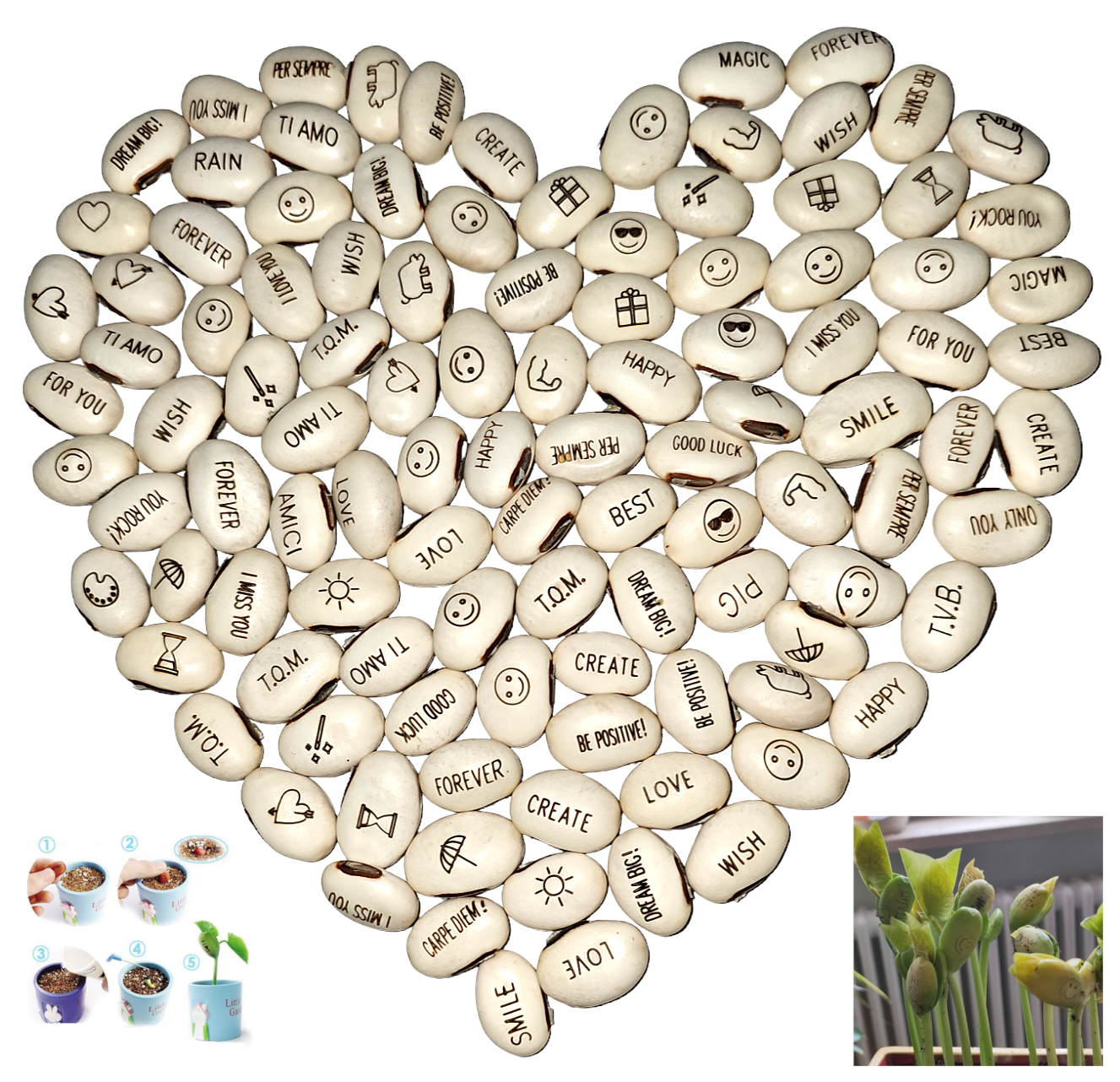 Confezione da 100 Fagioli Magici con messaggio, idea regalo e bomboniere