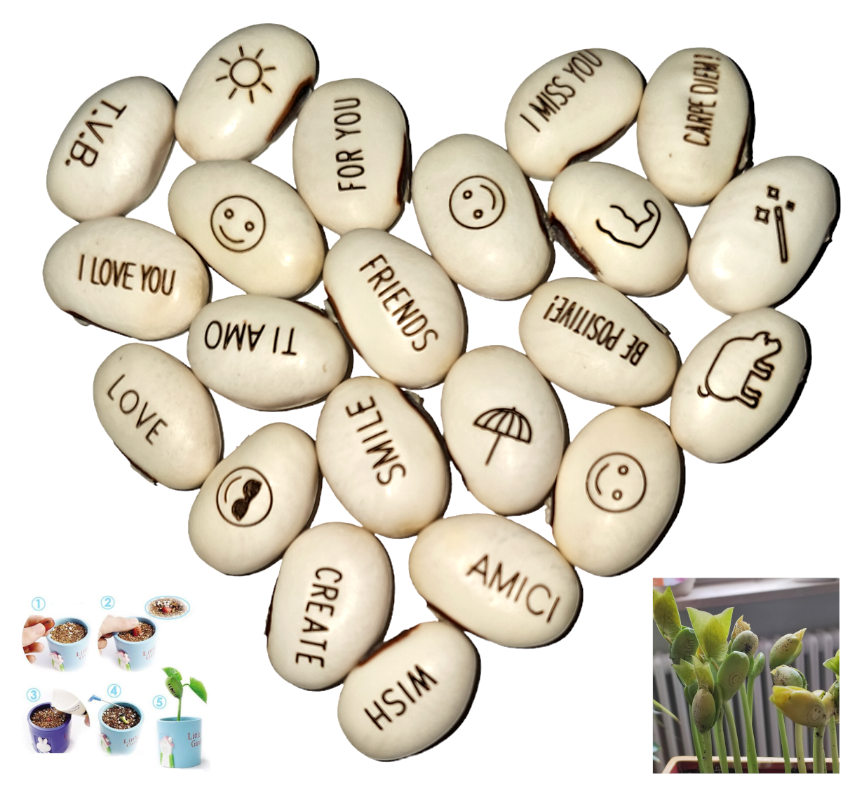 Confezione da 20 Fagioli Magici JEYEFFE con messaggio inciso da piantare
